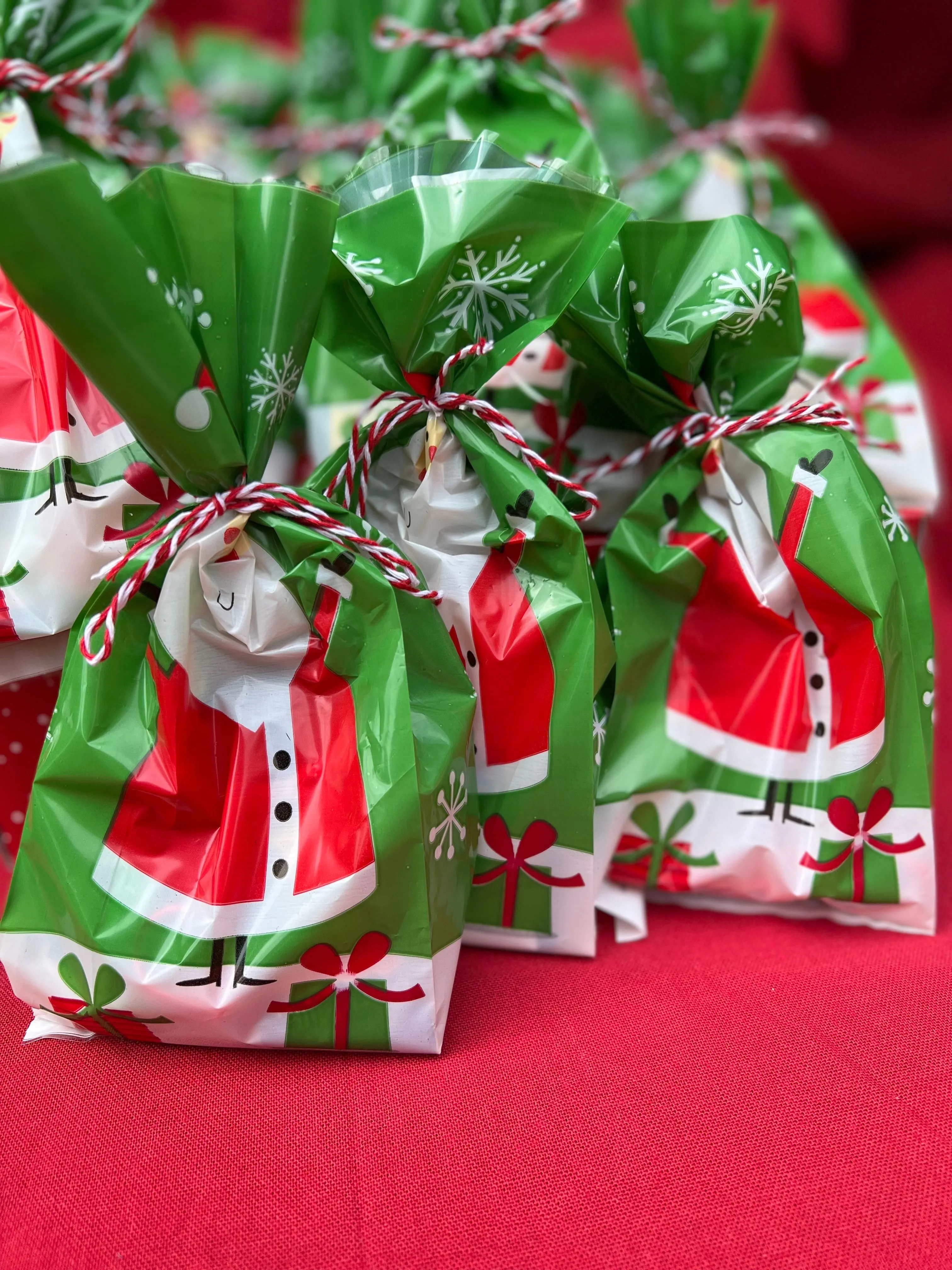 Santa's Treat Lolly Bag